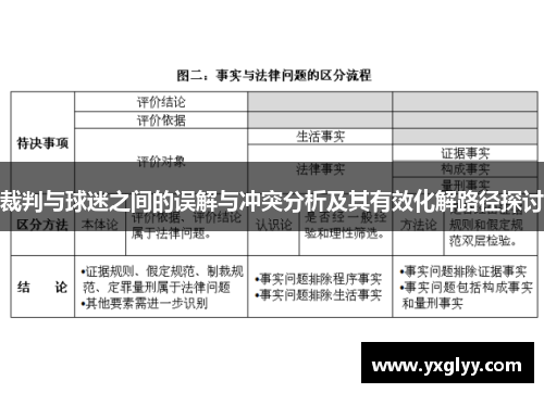 裁判与球迷之间的误解与冲突分析及其有效化解路径探讨