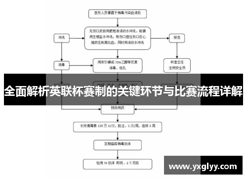 全面解析英联杯赛制的关键环节与比赛流程详解
